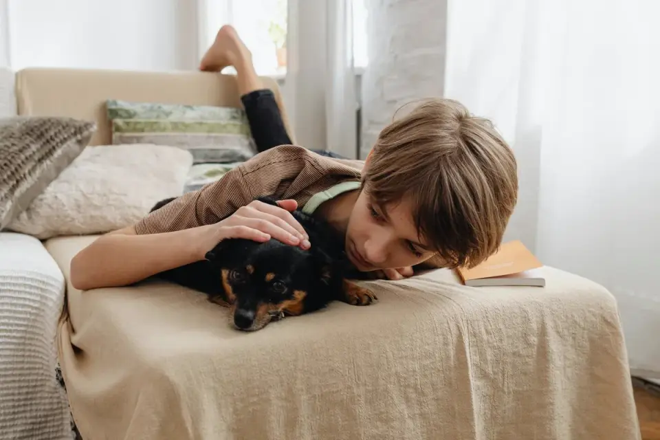 Dog resting beside an owner