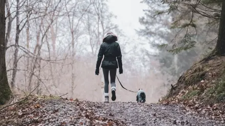 Dog running with an owner