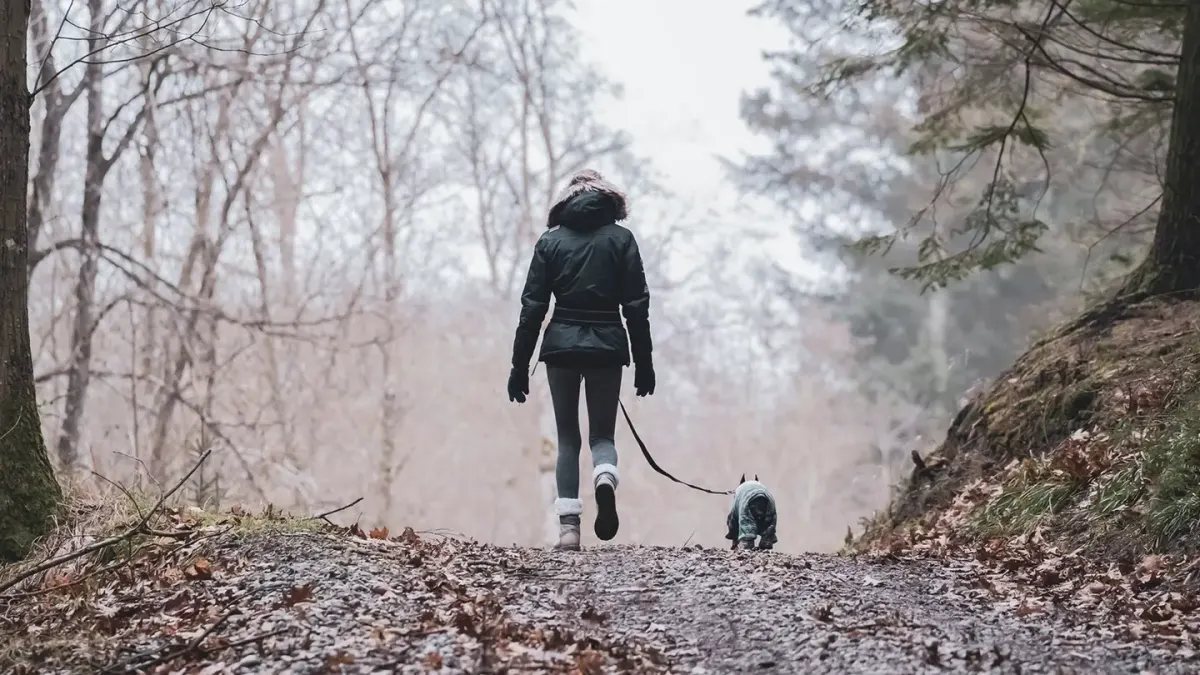 Dog running with an owner