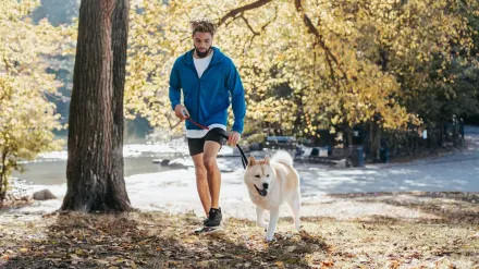 Dog running with an owner