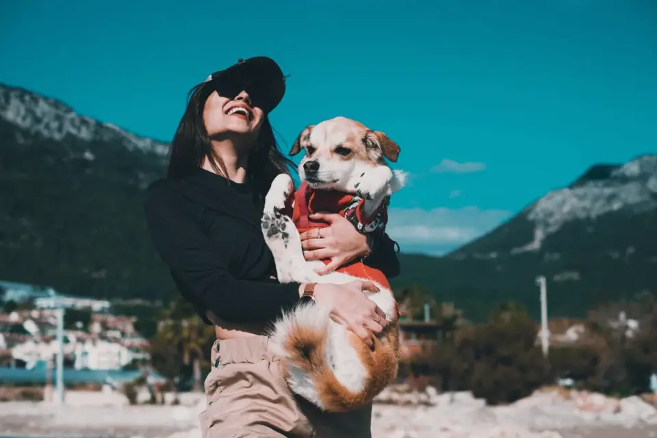 Dog traveling with an owner