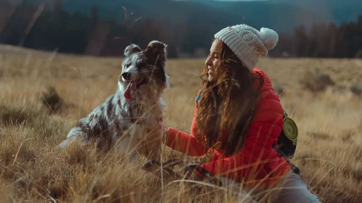 Dog traveling with an owner
