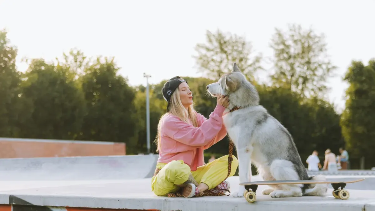 Dog traveling with an owner