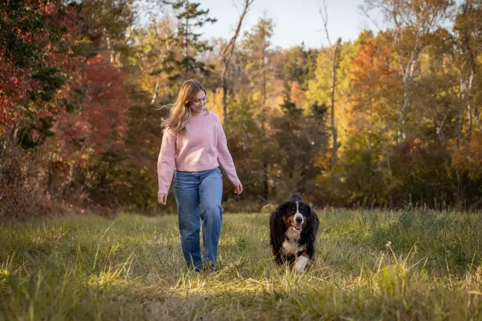 Dog walking beside an owner
