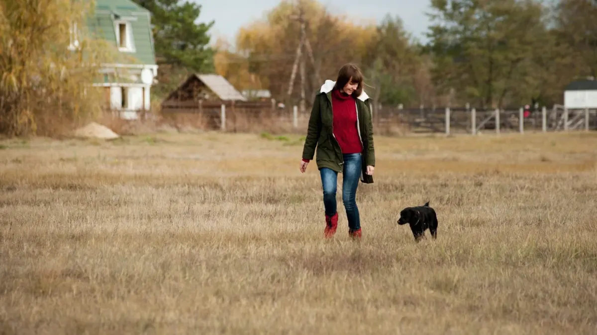 Dog walking beside an owner