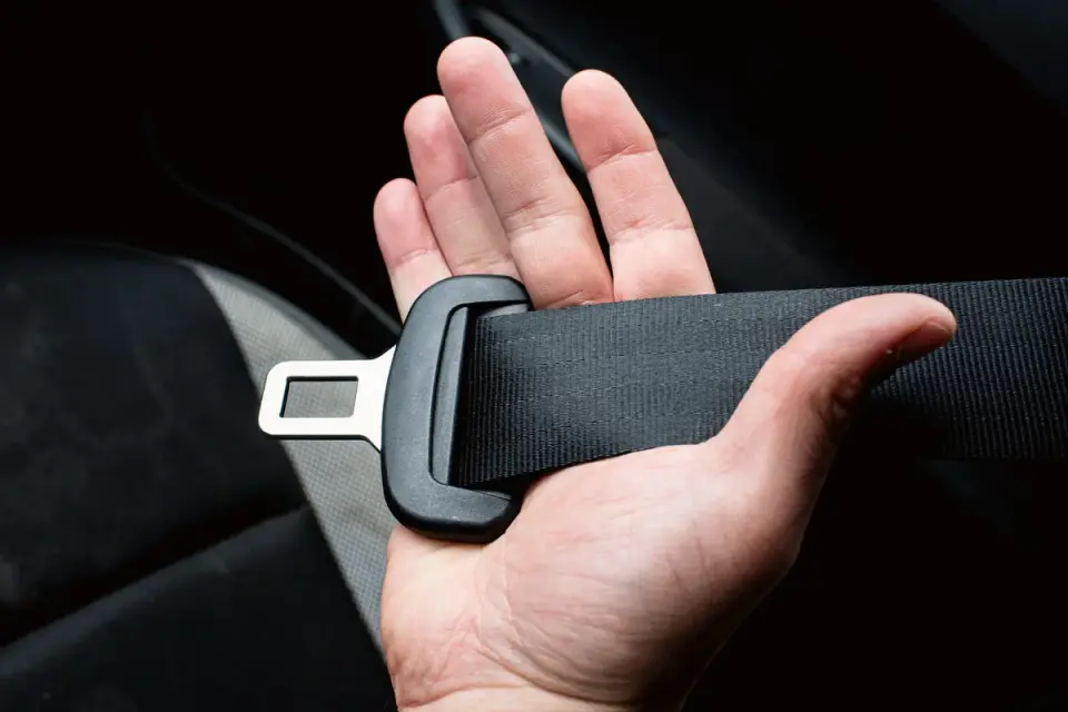 Dog wearing a car harness clipped into the vehicle seat belt