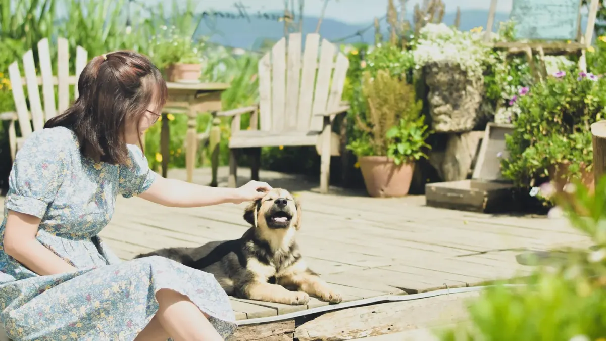 Dog with a gardening owner