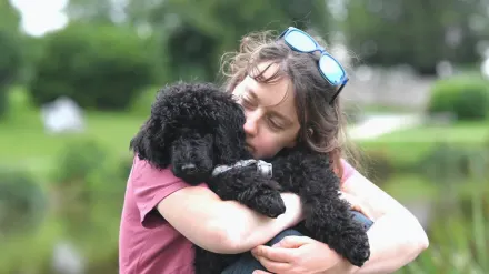 Dog with an owner at home