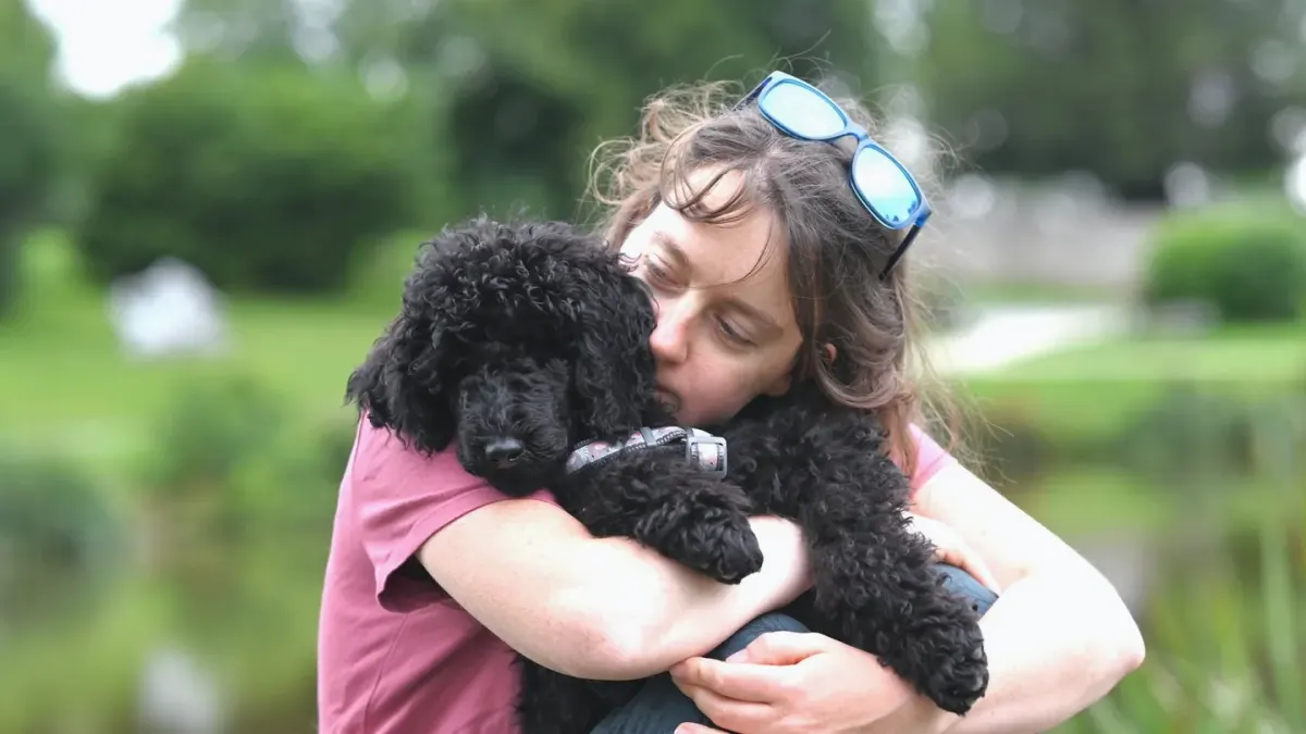 Dog with an owner at home