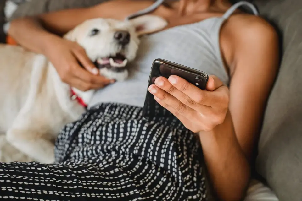 Dog with an owner at home