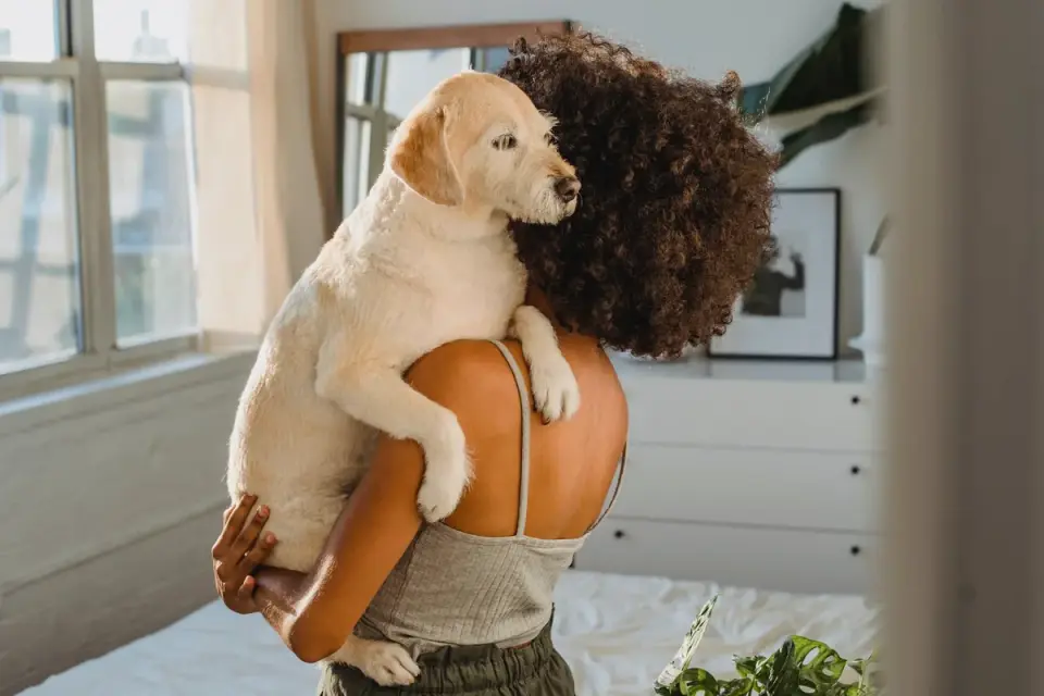 Dog with an owner at home