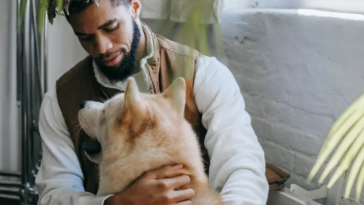 Dog with an owner at home