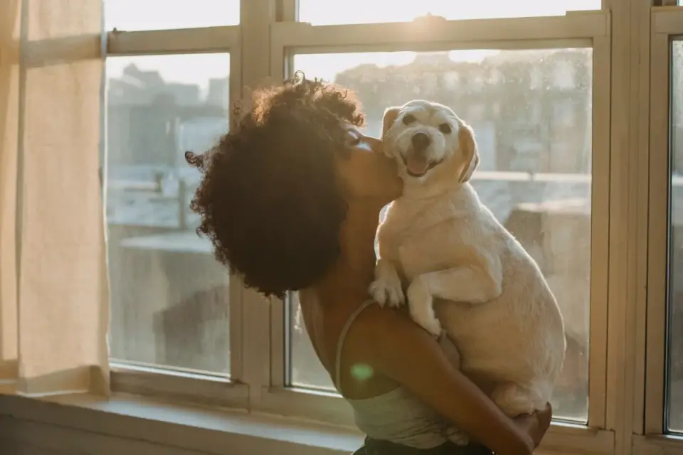 Dog with an owner at home