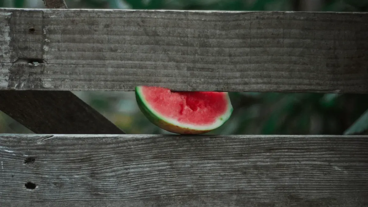 Golden retriever sniffing a slice of watermelon on a picnic table