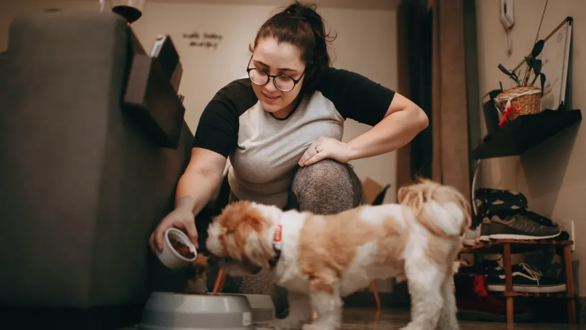 Gray-muzzled senior dog eating kibble from a bowl on a kitchen floor