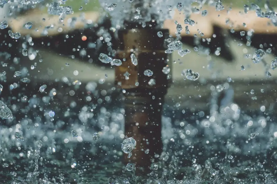Hands removing and cleaning the filter cartridge of a pet water fountain