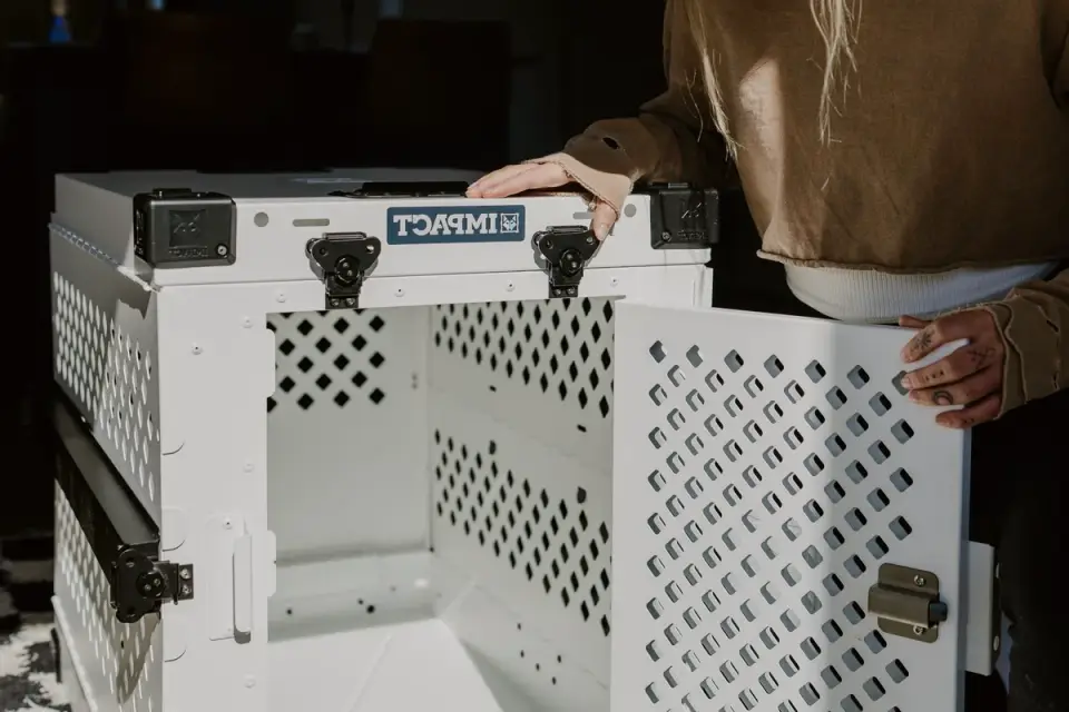Hard-sided plastic pet crate secured on a car&#x27;s back seat