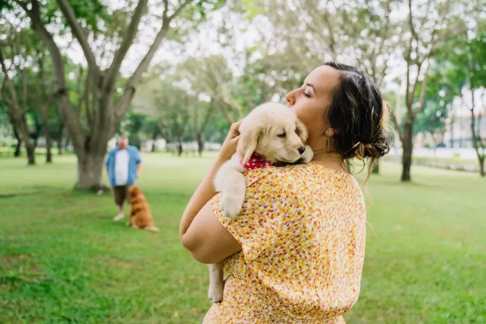 Older dog with an owner in a park