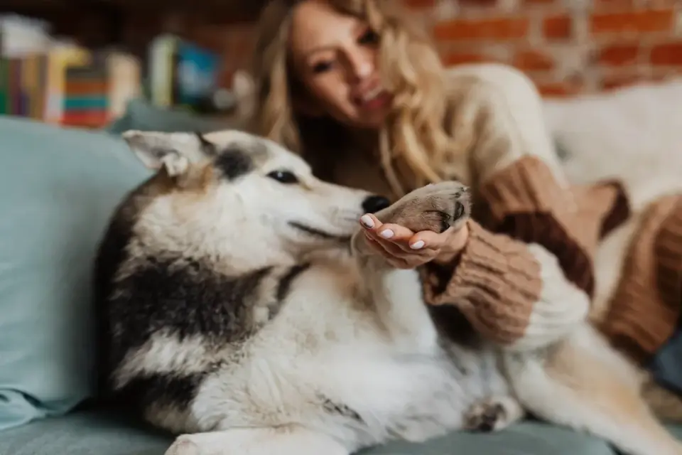 Owner gently holding a puppy&#x27;s paw to check nail length at home