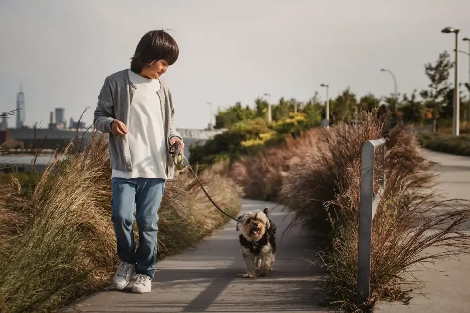 Owner walking a leashed dog at a steady pace on a paved trail