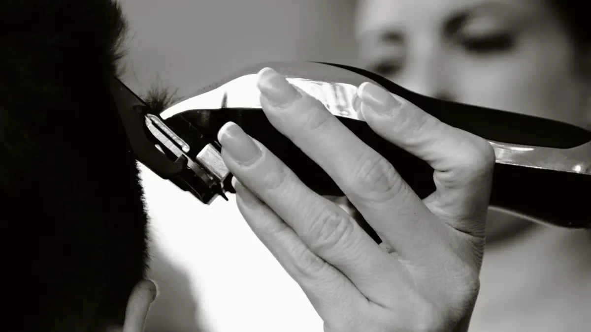 Person using electric clippers to trim a dog's coat at home
