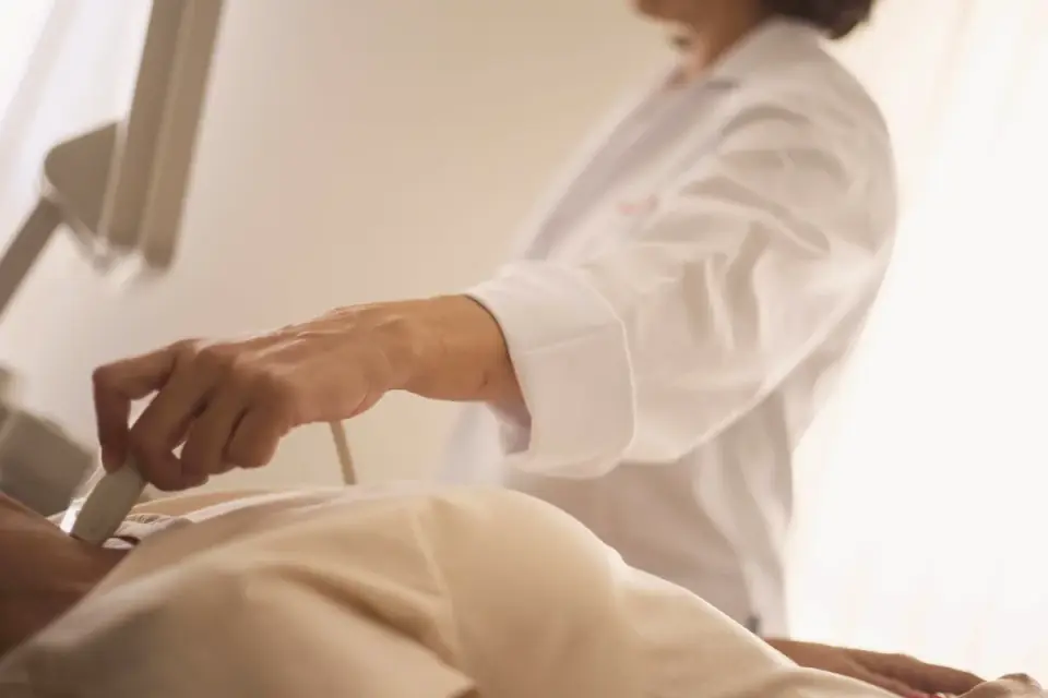 Veterinarian gently palpating a dog&#x27;s abdomen during a wellness exam
